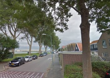 Start vervanging populierenrij Westerdijk